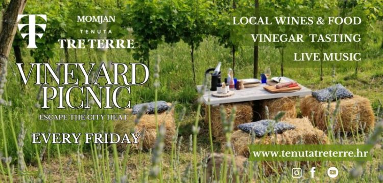 Vineyard Picnic – Escape the City