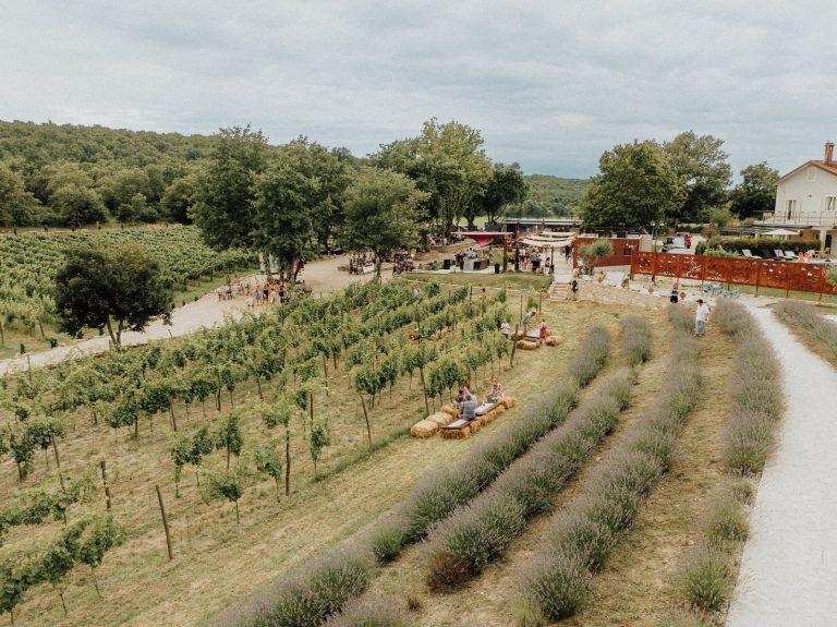 Vinogradi i lavanda Tre Terre