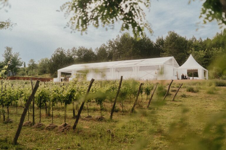 Vinogradi Tenuta Tre Terre